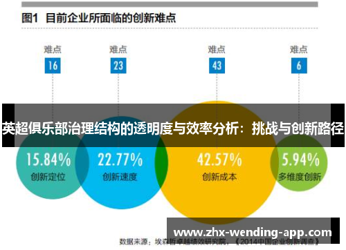英超俱乐部治理结构的透明度与效率分析:挑战与创新路径 英超俱乐部治理结构的透明度与效率分析:挑战与创新路径